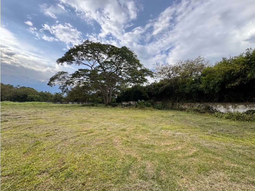 SE VENDE LOTE EN LA VIGA PANCE RP - MUR WS9597489 — foto 4
