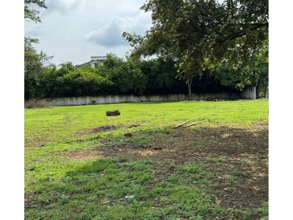 SE VENDE LOTE EN LA VIGA PANCE RP - MUR WS9597489 — foto 5