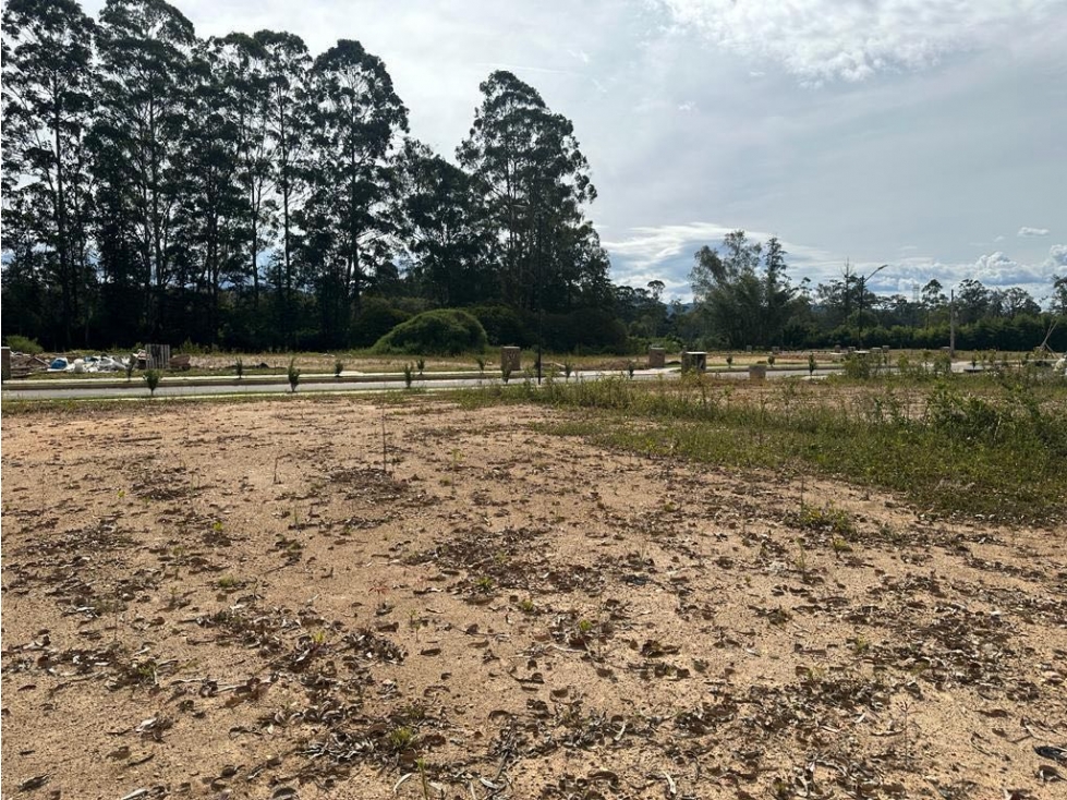 SE VENDE LOTE EN LLANOGRANDE RIONEGRO PARCELACIÓN TERRANATURA CENTRAL — foto 6