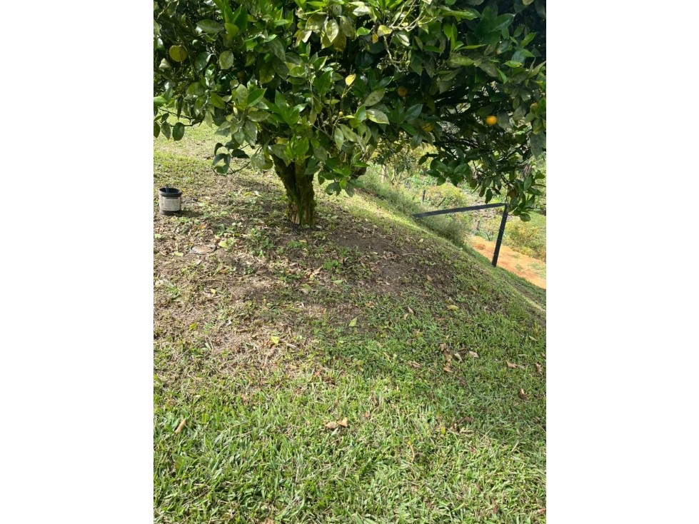 SE VENDE LOTE EN MARINILLA DE 900M2 A SOLO MINUTOSDE LA CARRETERA — foto 2
