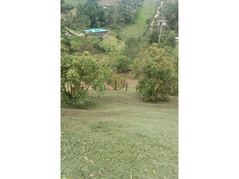 SE VENDE LOTE EN MARINILLA DE 900M2 A SOLO MINUTOSDE LA CARRETERA — foto 6