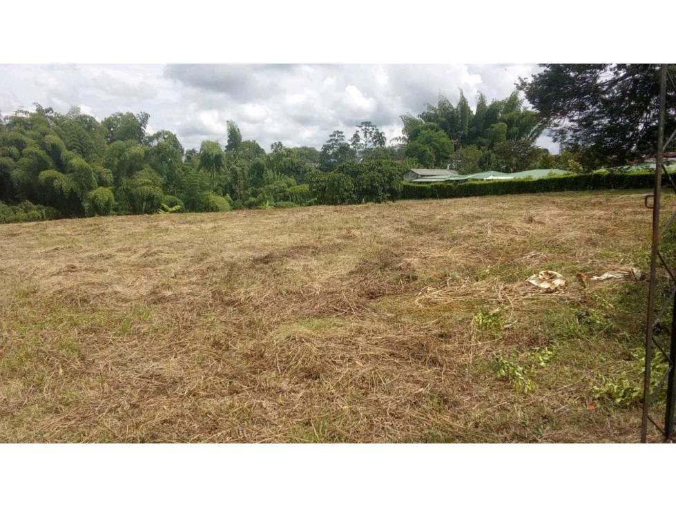 Se vende lote en Montenegro