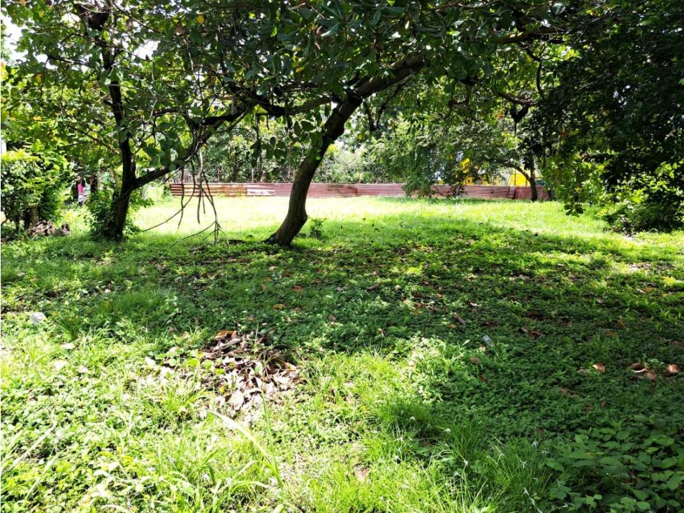 Se vende lote en Nueva Gorgona - Chame. Negociable - 3
