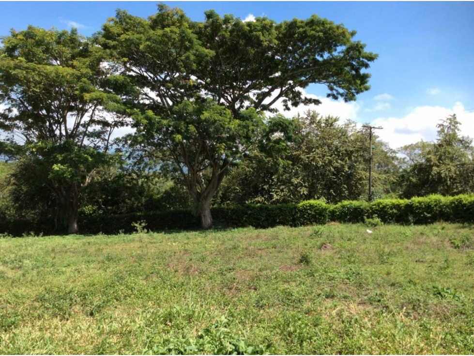 SE VENDE LOTE EN PANCE INDEPENDIENTE AV. LA MARIA RP-MUR — foto 3