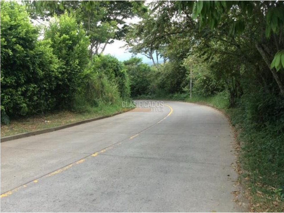 SE VENDE LOTE EN PANCE INDEPENDIENTE AV. LA MARIA RP-MUR — foto 4