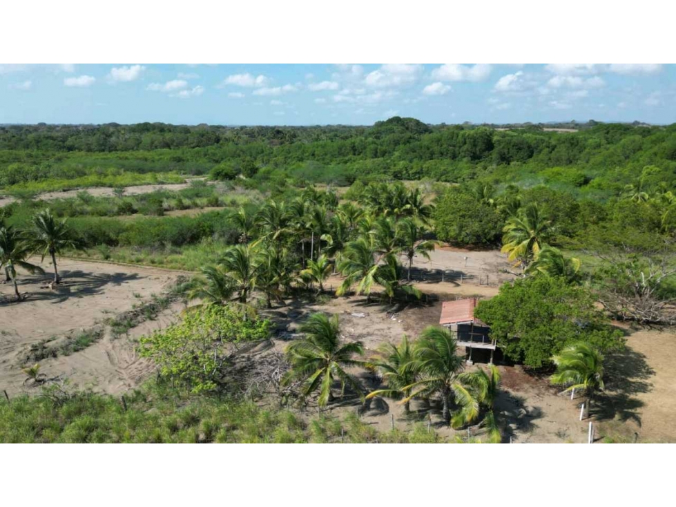 SE VENDE LOTE EN PLAYA PEDASI , PROPIEDAD TITULADA - 3