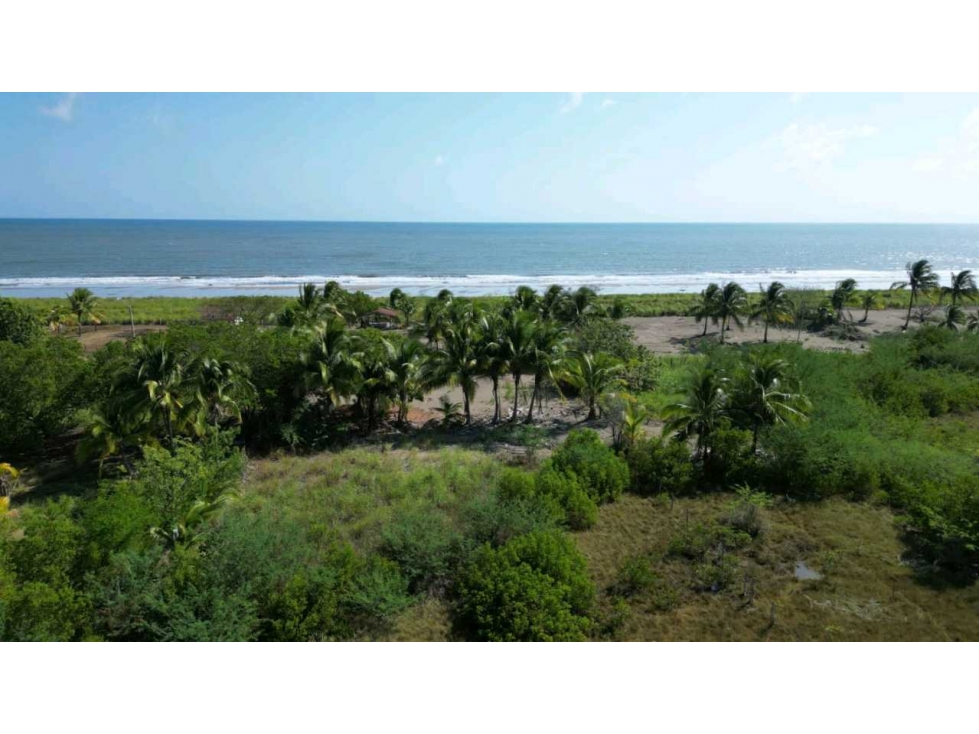 SE VENDE LOTE EN PLAYA PEDASI , PROPIEDAD TITULADA - 4