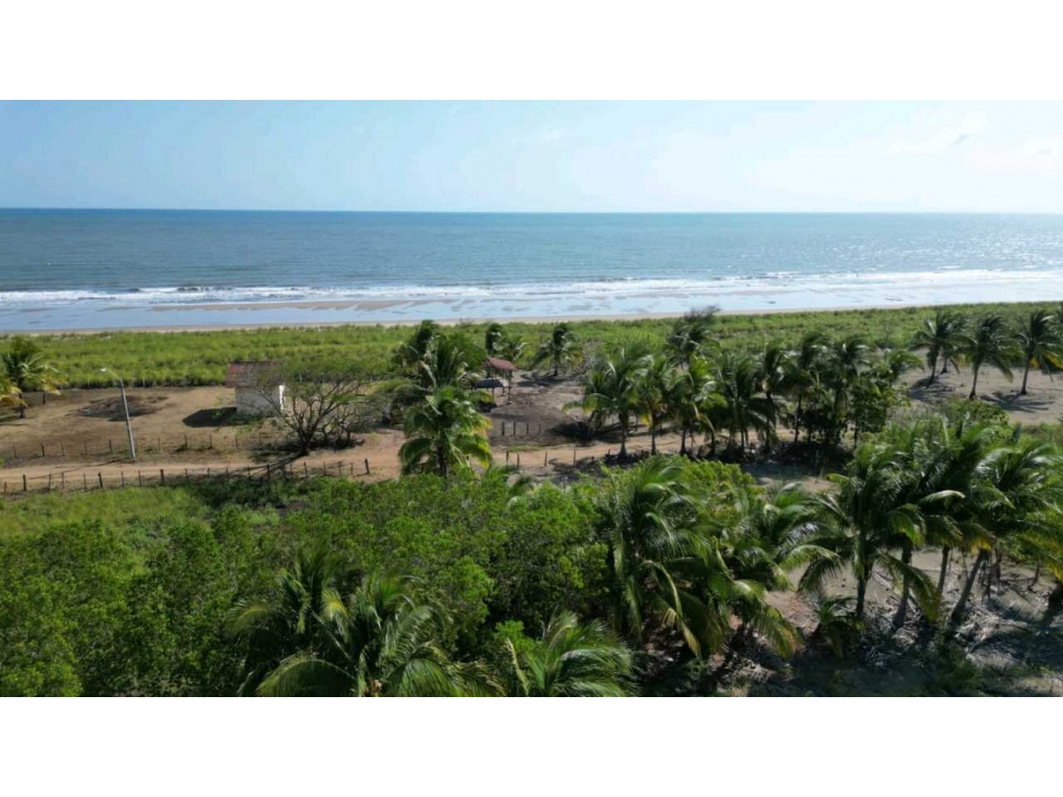 SE VENDE LOTE EN PLAYA PEDASI , PROPIEDAD TITULADA - 5