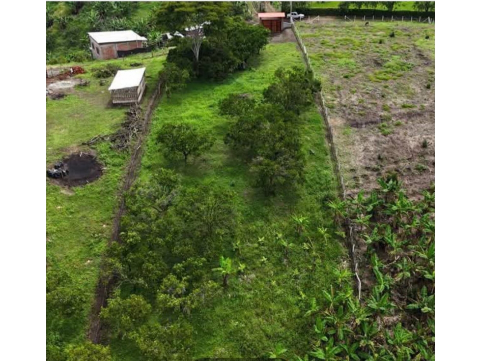 SE VENDE LOTE EN QUIMBAYA QUINDIO - 1