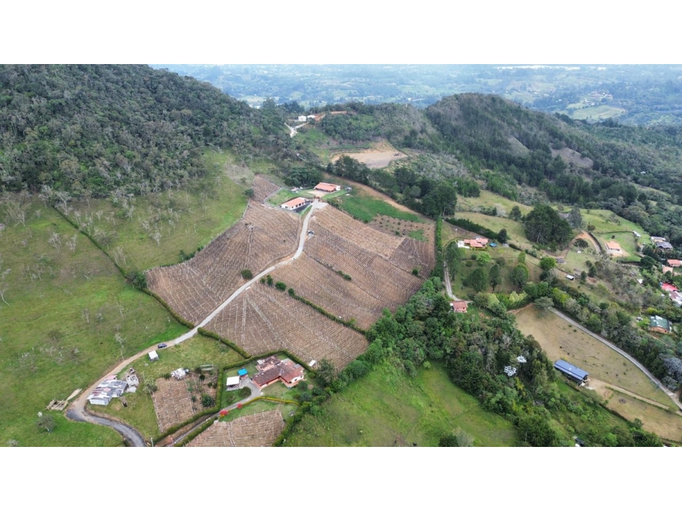 SE VENDE LOTE EN RIONEGRO CERRO EL CAPIRO 25,400 m2 en 3 matriculas