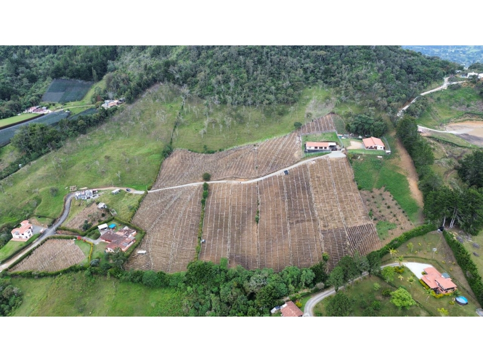SE VENDE LOTE EN RIONEGRO CERRO EL CAPIRO 25,400 m2 en 3 matriculas — foto 3