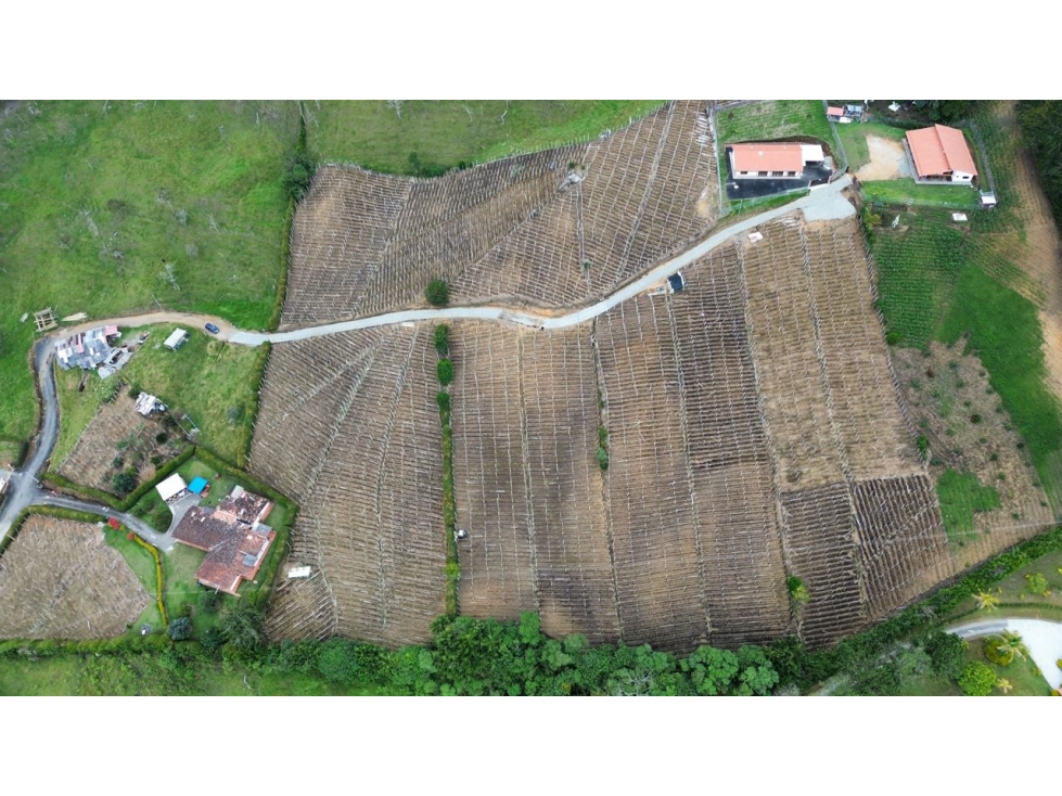 SE VENDE LOTE EN RIONEGRO CERRO EL CAPIRO 25,400 m2 en 3 matriculas — foto 5