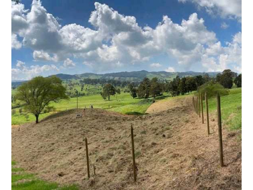 SE VENDE LOTE EN SAN PEDRO DE LOS MILAGROS.