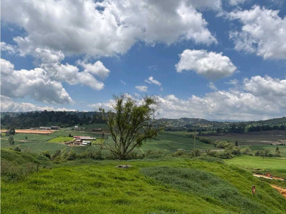 SE VENDE LOTE EN SAN PEDRO DE LOS MILAGROS. — foto 2