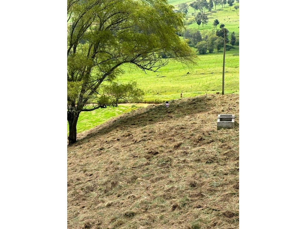 SE VENDE LOTE EN SAN PEDRO DE LOS MILAGROS. — foto 3
