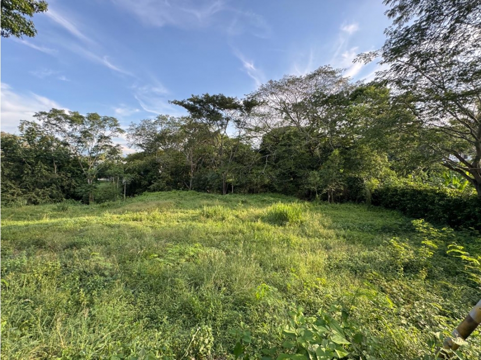 SE VENDE LOTE EN SANTA FE DE ANTIOQUÍA EN PARCELACIÓN VEREDA PAN GORDI — foto 5