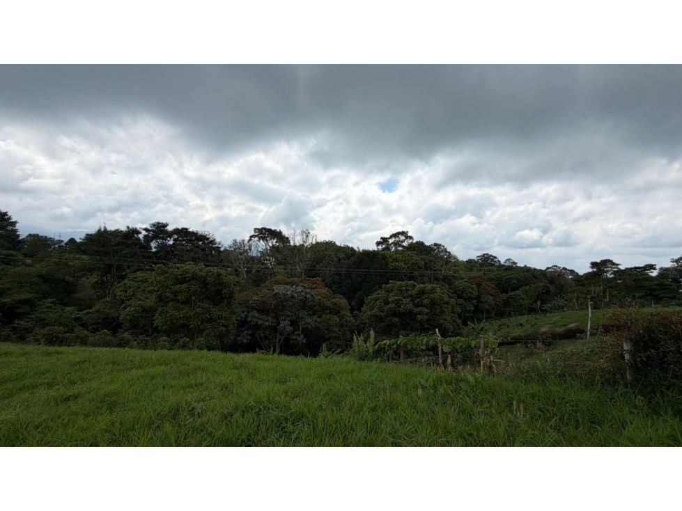 SE VENDE LOTE CERCA A SAUSALITO SALENTO QUINDIO - 3