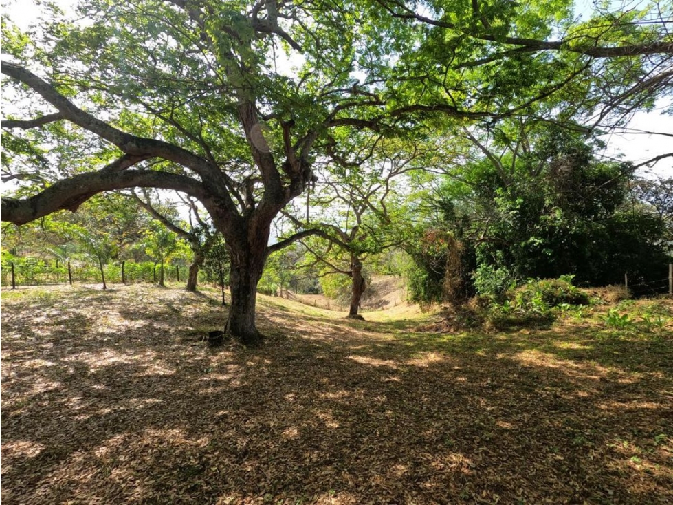 SE VENDE LOTE EN SOPETRAN EN LA VEREDA EL PALMAR — foto 3