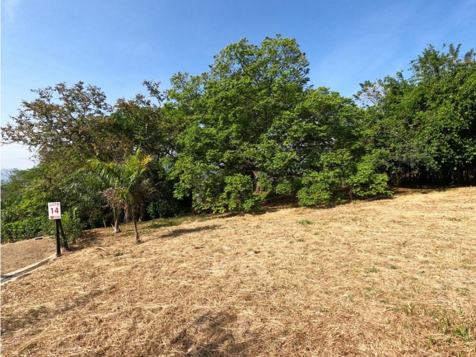 SE VENDE LOTE EN SOPETRAN EN LA VEREDA EL PALMAR — foto 4