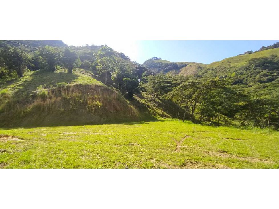 VENTA LOTE TITIRIBI, SUROESTE ANTIOQUEÑO - 1