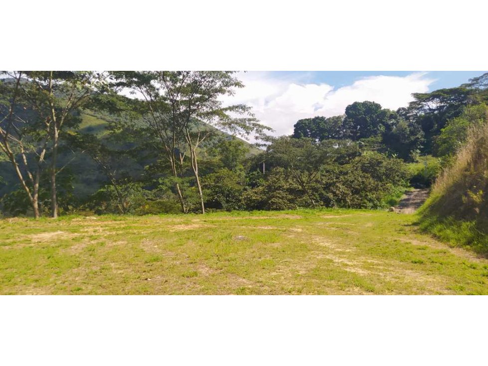 VENTA LOTE TITIRIBI, SUROESTE ANTIOQUEÑO - 2