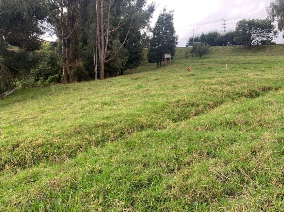SE VENDE LOTE EN USME. P — foto 5