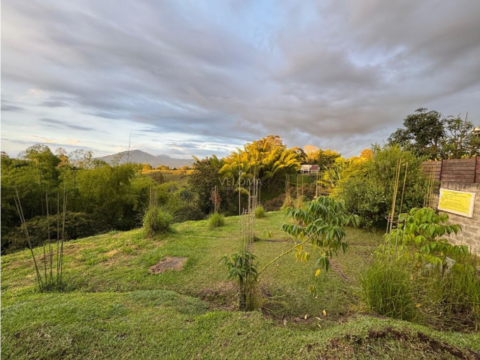 Se Vende Lote en Vía Armenia