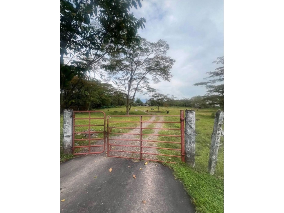 Se vende lote en vía nacional Restrepo-Cumaral / Villavicencio - 3
