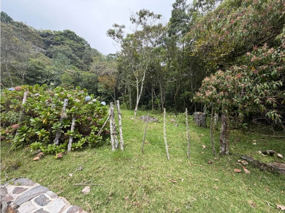 Se vende lote en vereda Cincinnati - Minca - Santa Marta - 1