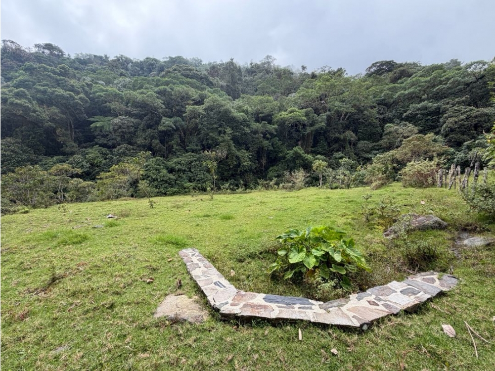 Se vende lote en vereda Cincinnati - Minca - Santa Marta - 3
