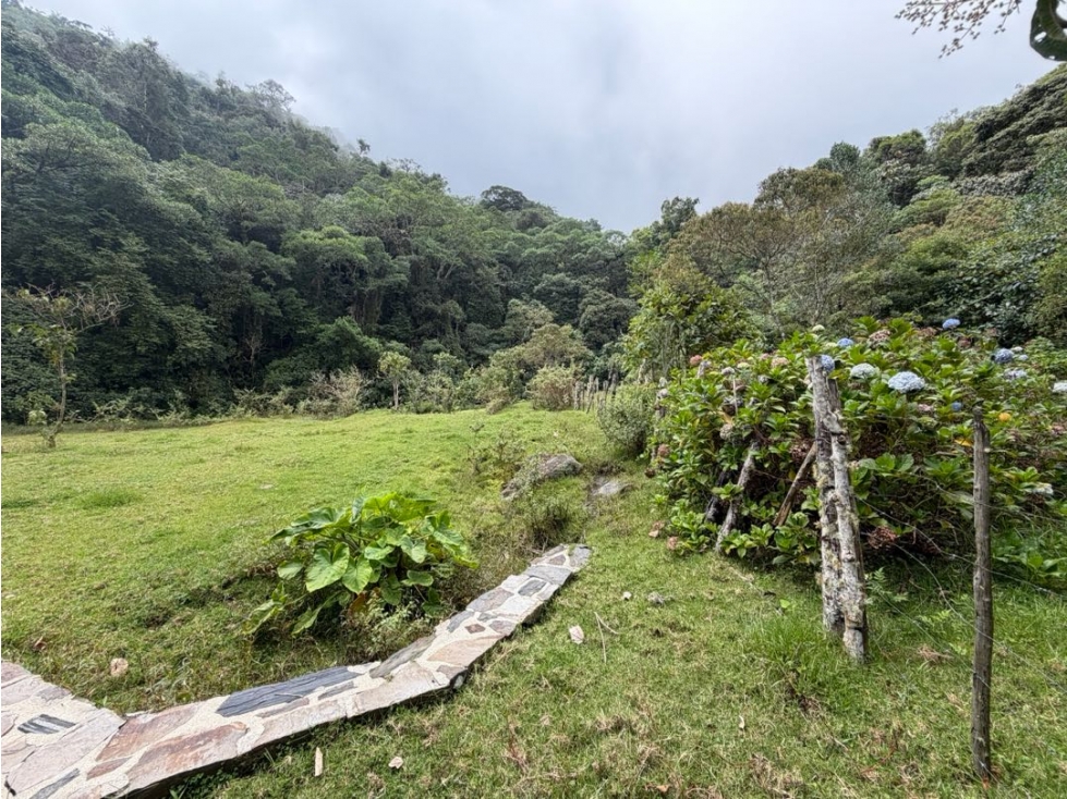 Se vende lote en vereda Cincinnati - Minca - Santa Marta - 4