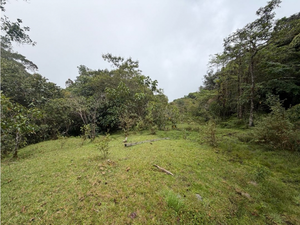 Se vende lote en vereda Cincinnati - Minca - Santa Marta - 5