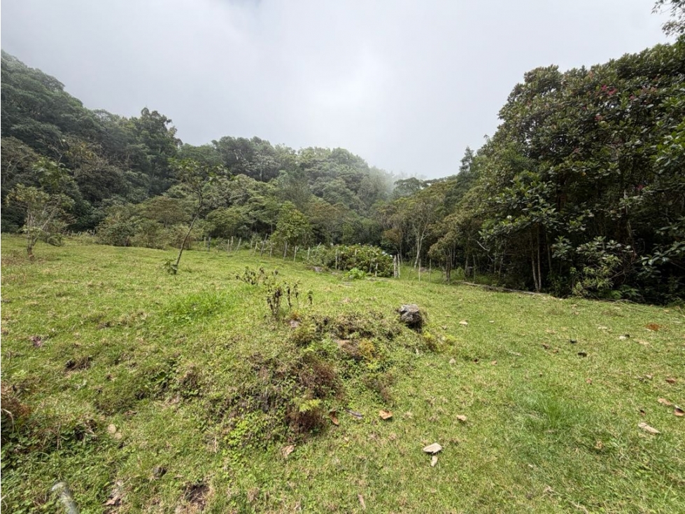 Se vende lote en vereda Cincinnati - Minca - Santa Marta - 6