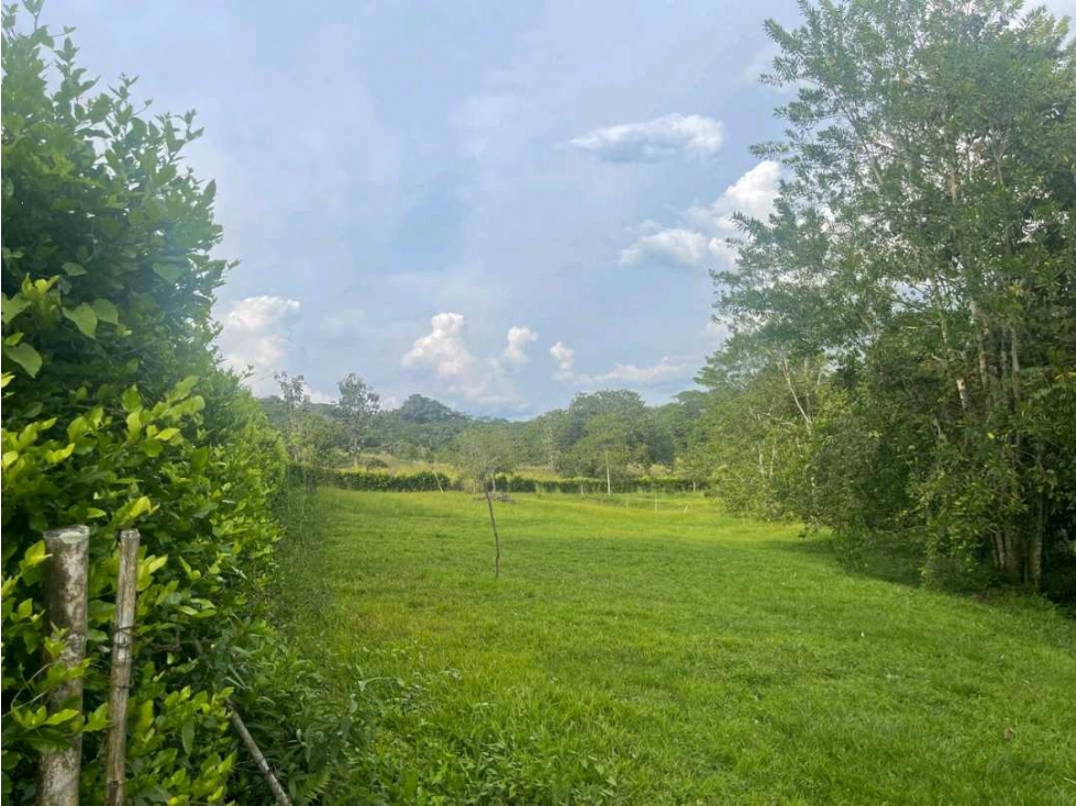 Se vende lote en Viterbo Caldas - 1