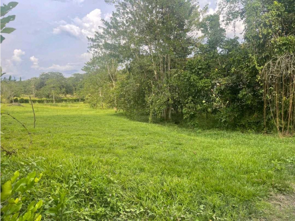 Se vende lote en Viterbo Caldas - 2