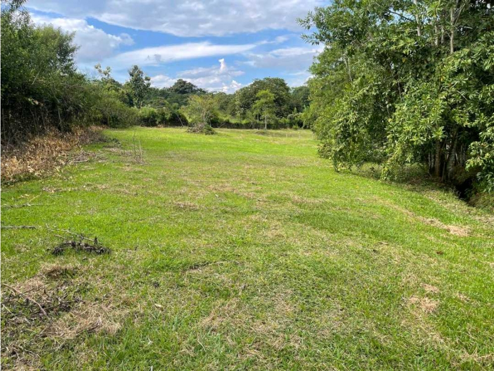 Se vende lote en Viterbo Caldas - 4