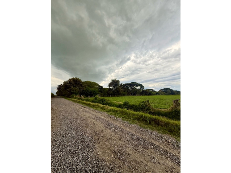 SE VENDE LOTE VIA ZONA FRANCA DE PALMASECA MMCV — foto 3