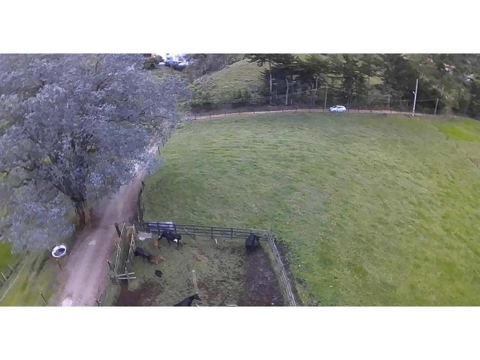 SE VENDE LOTE INDEPENDIENTE EN LA CEJA SECTOR SAN NICOLAS VÍA LLANOGR