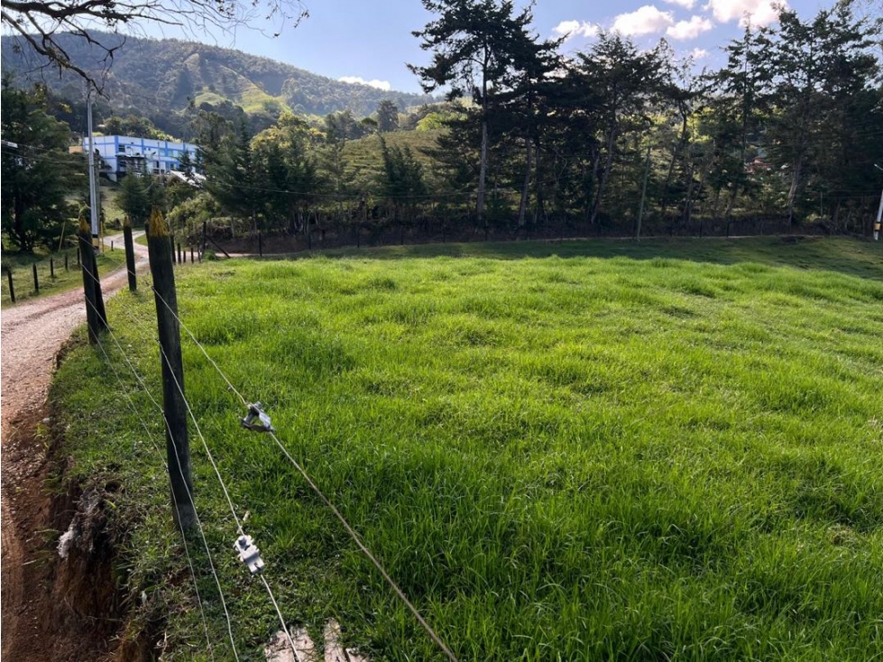 SE VENDE LOTE INDEPENDIENTE EN LA CEJA SECTOR SAN NICOLAS VÍA LLANOGR — foto 2