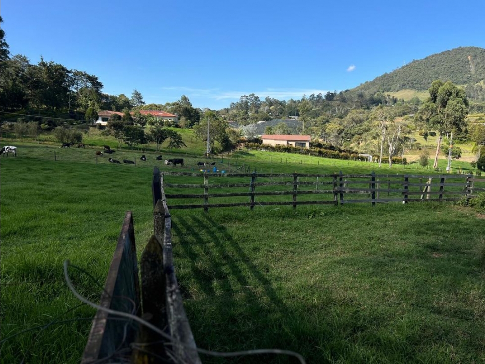 SE VENDE LOTE INDEPENDIENTE EN LA CEJA SECTOR SAN NICOLAS VÍA LLANOGR — foto 4
