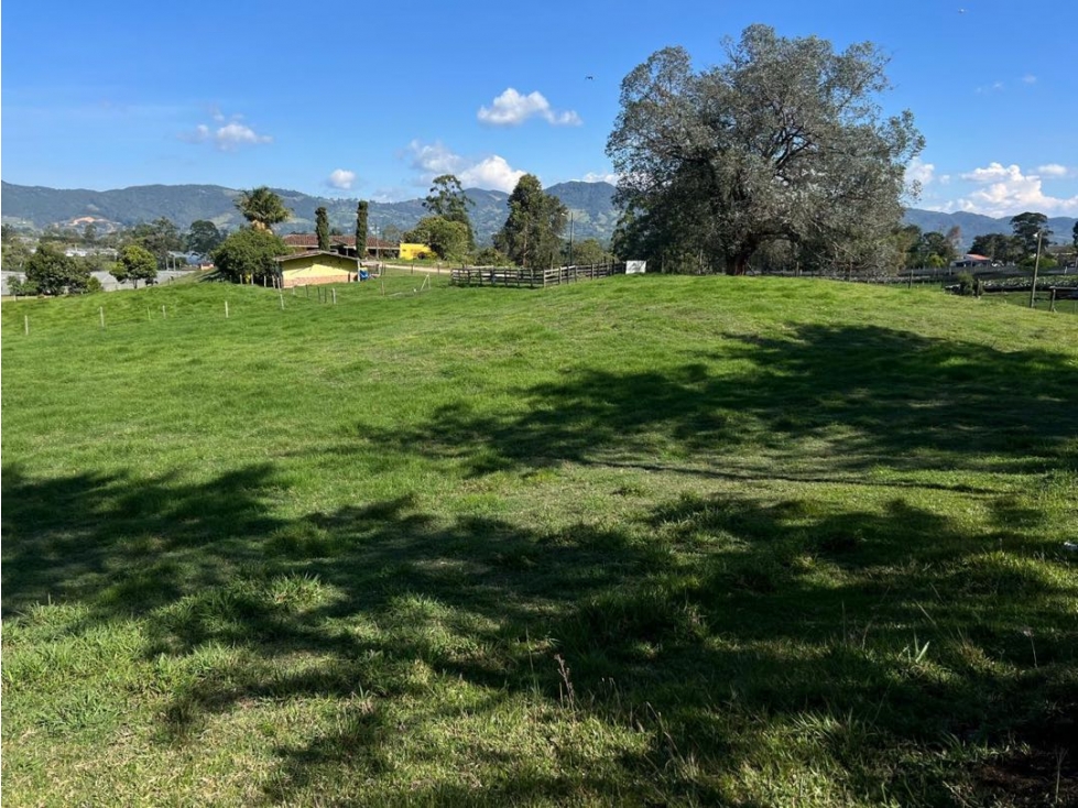 SE VENDE LOTE INDEPENDIENTE EN LA CEJA SECTOR SAN NICOLAS VÍA LLANOGR — foto 6