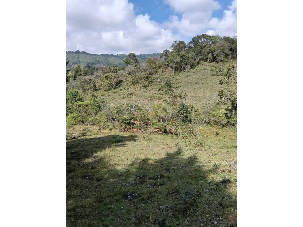 VENDO LOTE EN RIONEGRO CERCA AEROPUERTO JMC — foto 4