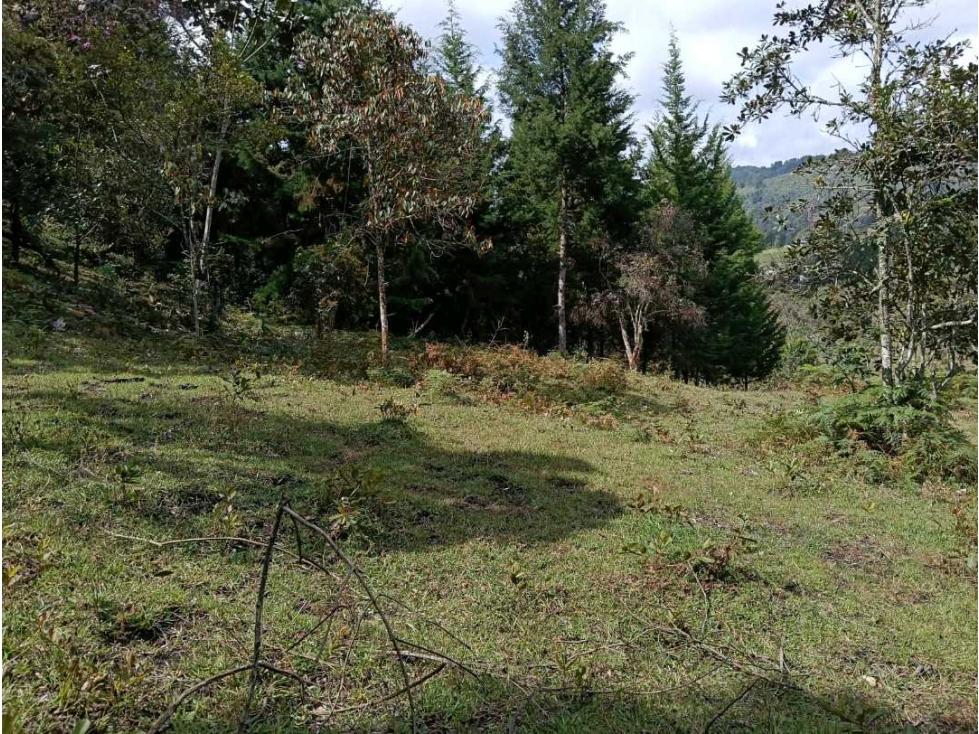 VENDO LOTE EN RIONEGRO CERCA AEROPUERTO JMC — foto 6