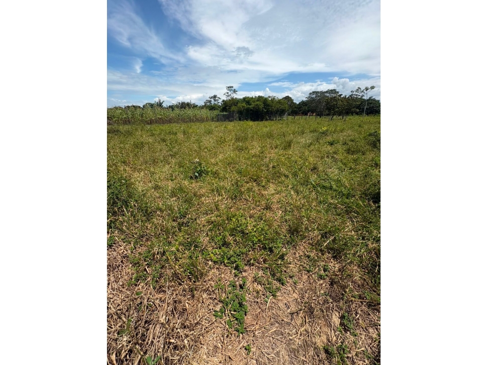 SE VENDE LOTE INDUSTRIAL DE 1.014 M² VÍA MORICHAL, YOPAL, CASANARE — foto 5