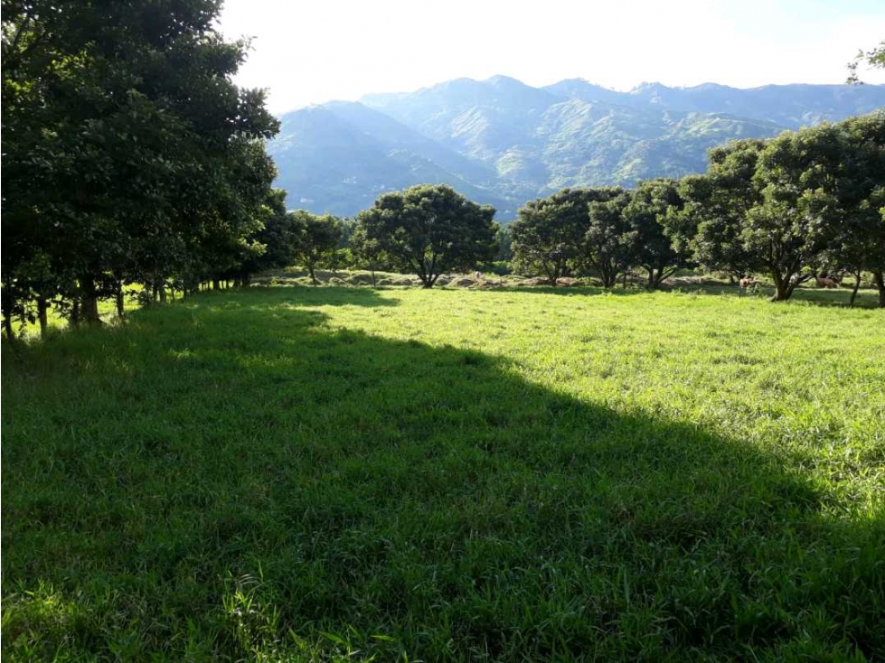 Se vende lote industrial en Girardota sobre la via principal - 1