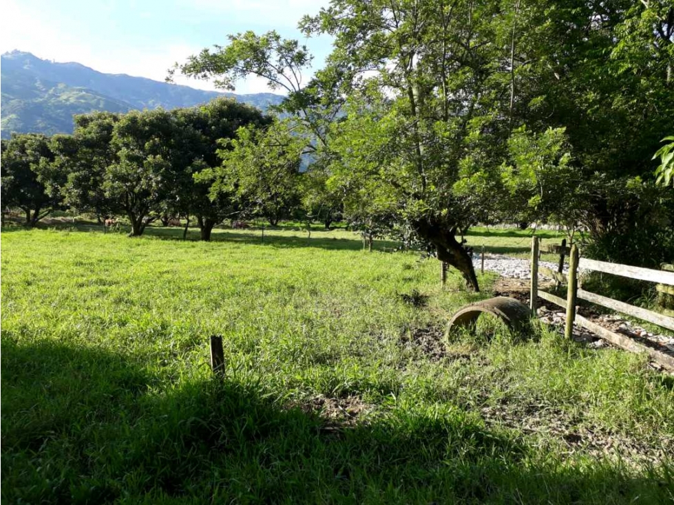 Se vende lote industrial en Girardota sobre la via principal - 3