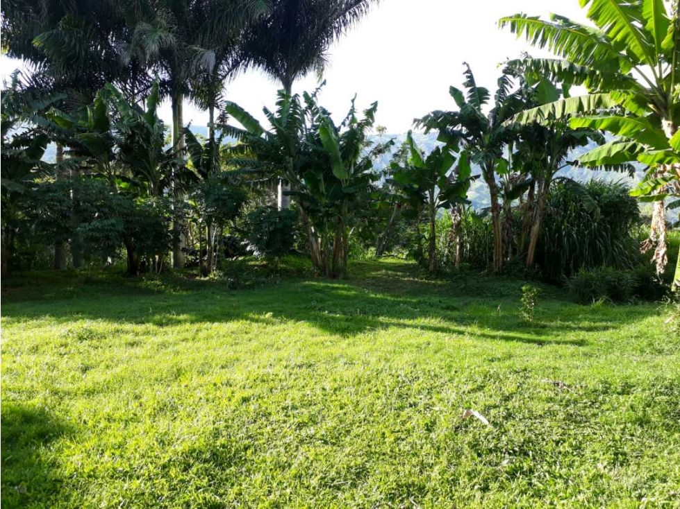 Se vende lote industrial en Girardota sobre la via principal - 5