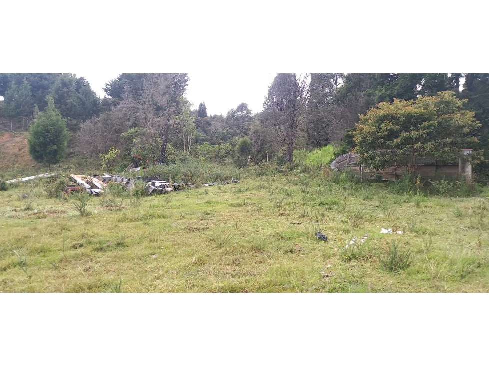 Se vende lote industrial en guarne antioquia — foto 3