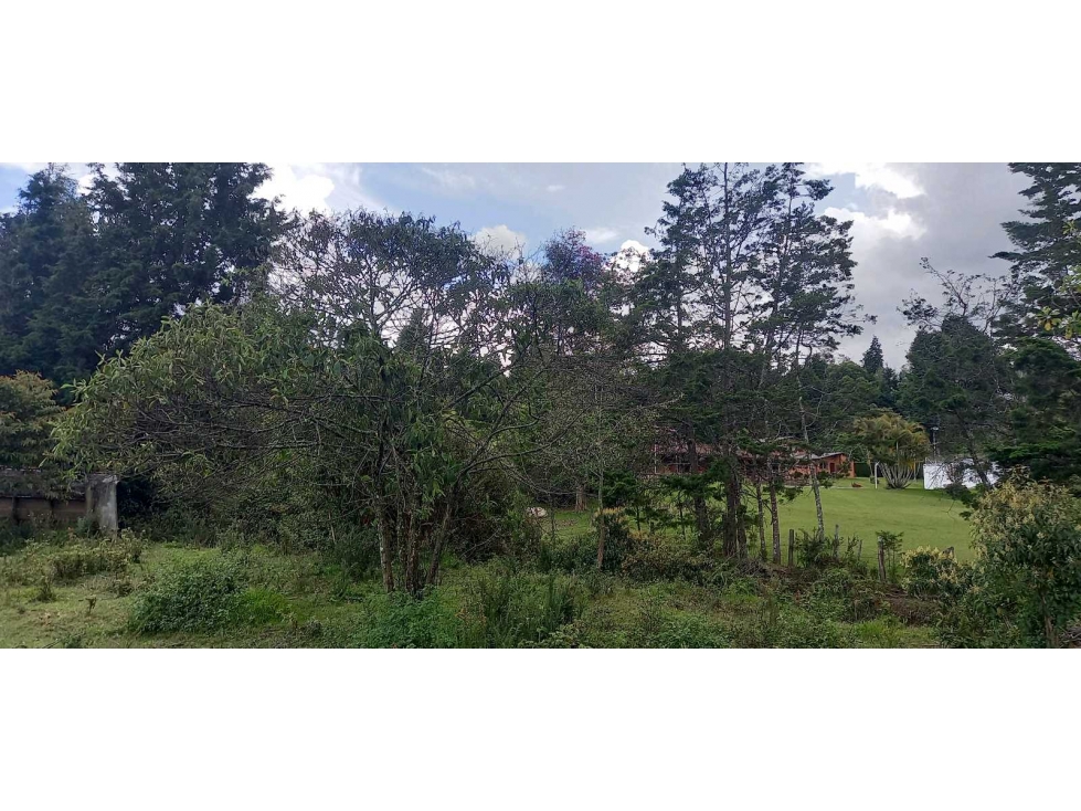 Se vende lote industrial en guarne antioquia — foto 5