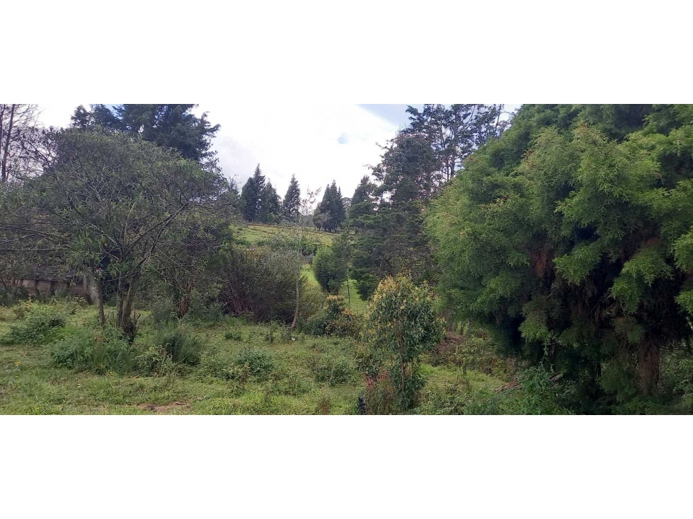 Se vende lote industrial en guarne antioquia — foto 6